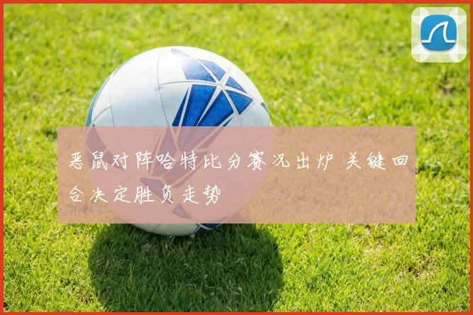 恶鼠对阵哈特比分赛况出炉 关键回合决定胜负走势