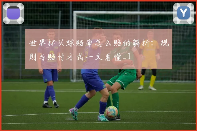 世界杯买球赔率怎么赔的解析:规则与赔付方式一文看懂_1