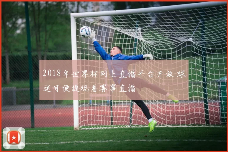 2018年世界杯网上直播平台开放 球迷可便捷观看赛事直播