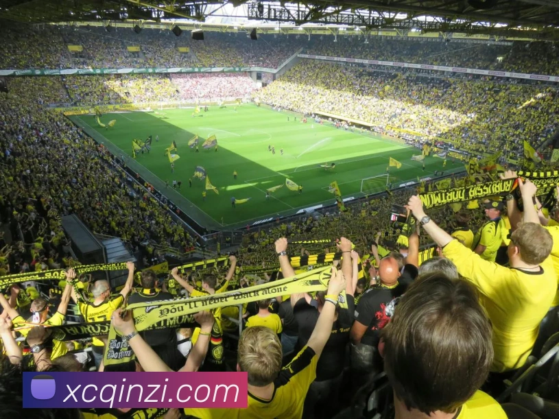 奖项证书